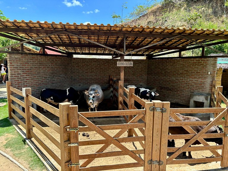 Refúgio charmoso cercado por verde