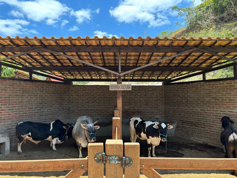 Refúgio aconchegante c/ Piscina no Águas da Serra